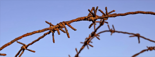 barbed wire