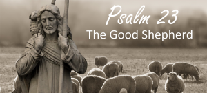 The Good Shepherd (Psalm 23:4): Walking through the valley