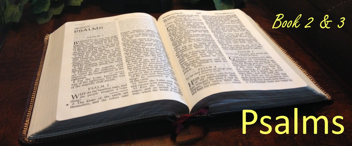 Grace Devotionals for personal bible reading - Grace at Wellington Church