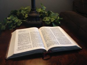 open bible on psalms book 1